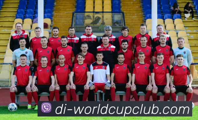 世界杯投注平台生态图